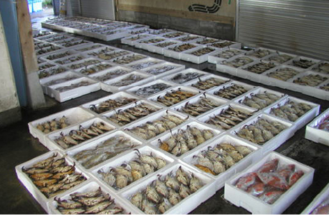 市場に並んだ魚